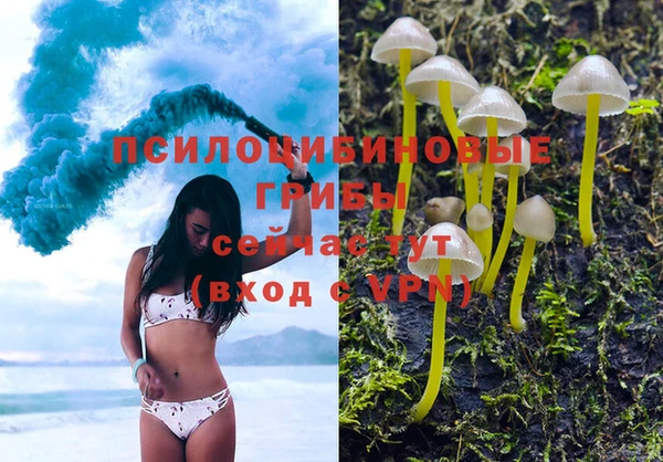 эйфоретик Баксан