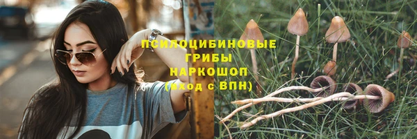 соль ск Балабаново